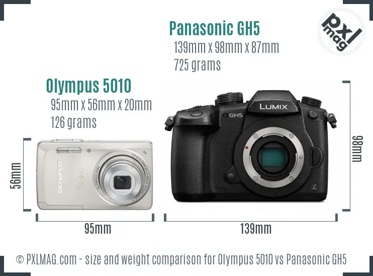 Olympus 5010 vs Panasonic GH5 size comparison