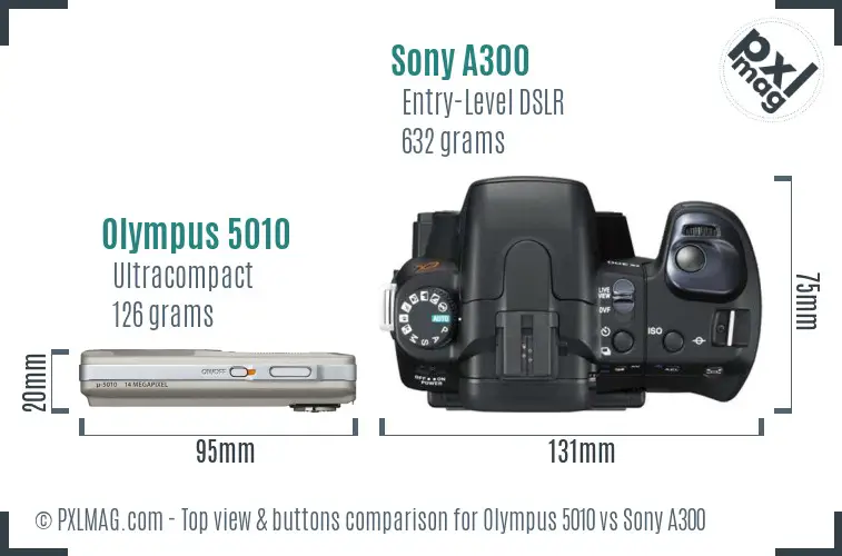 Olympus 5010 vs Sony A300 top view buttons comparison