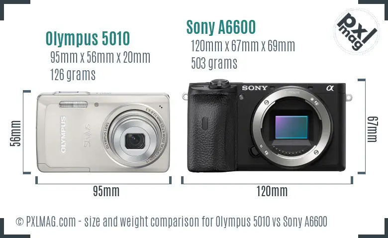 Olympus 5010 vs Sony A6600 size comparison
