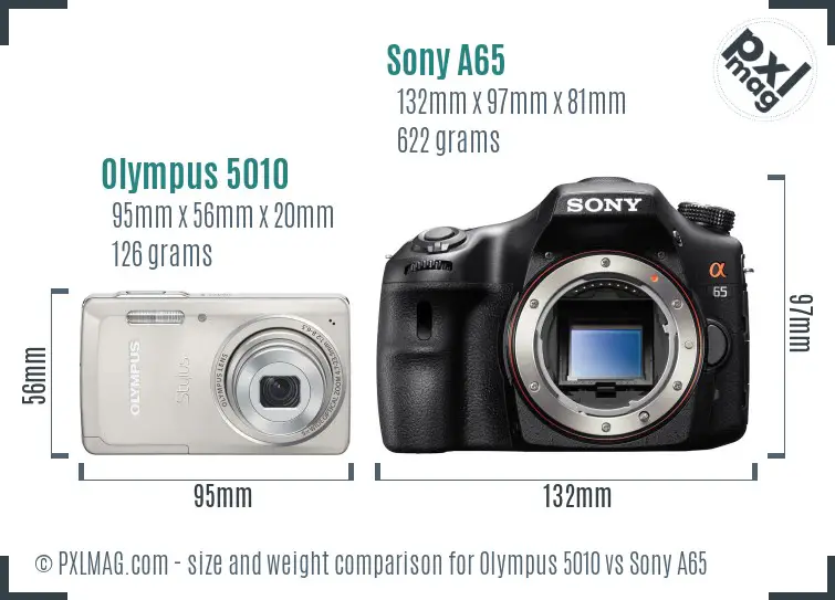 Olympus 5010 vs Sony A65 size comparison