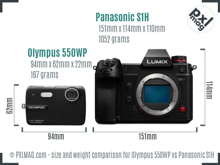 Olympus 550WP vs Panasonic S1H size comparison
