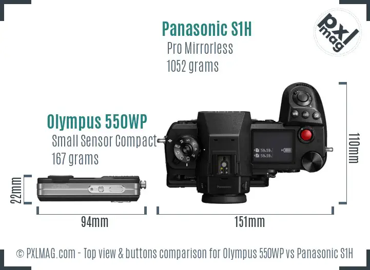 Olympus 550WP vs Panasonic S1H top view buttons comparison