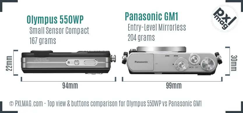 Olympus 550WP vs Panasonic GM1 top view buttons comparison