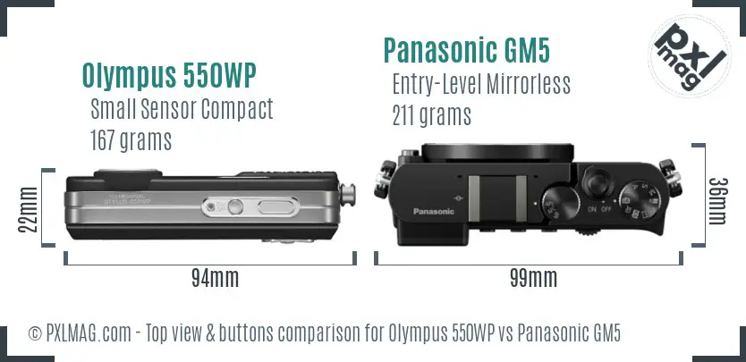 Olympus 550WP vs Panasonic GM5 top view buttons comparison