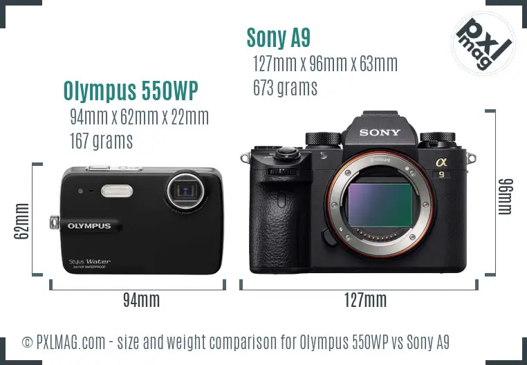 Olympus 550WP vs Sony A9 size comparison