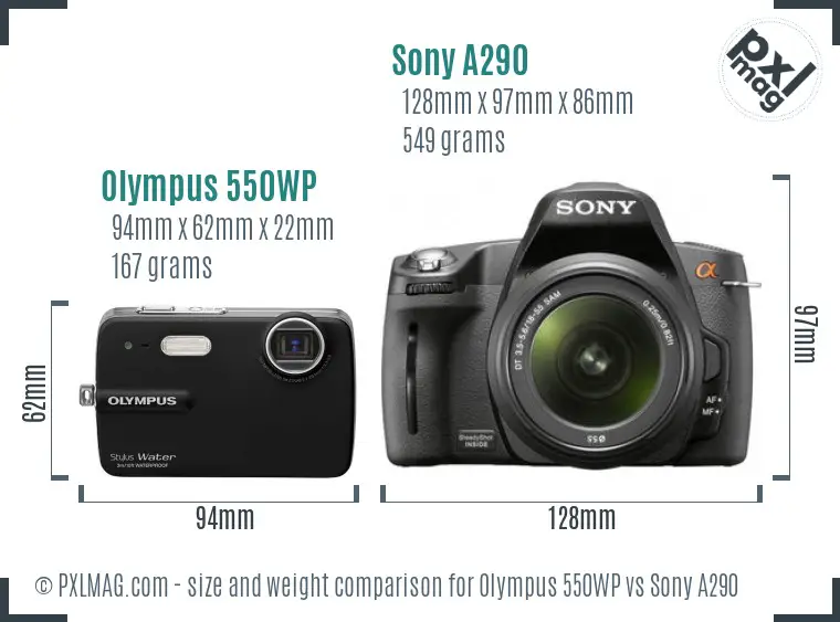 Olympus 550WP vs Sony A290 size comparison