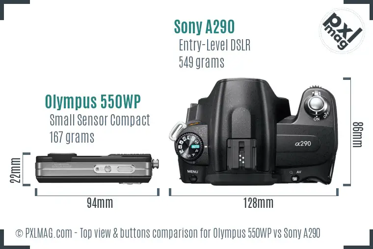 Olympus 550WP vs Sony A290 top view buttons comparison