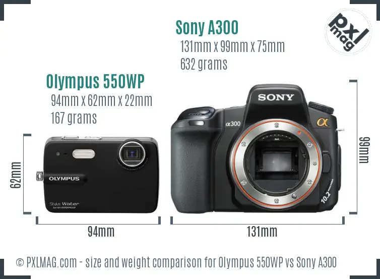 Olympus 550WP vs Sony A300 size comparison