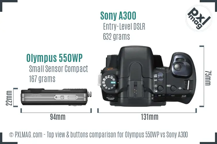 Olympus 550WP vs Sony A300 top view buttons comparison