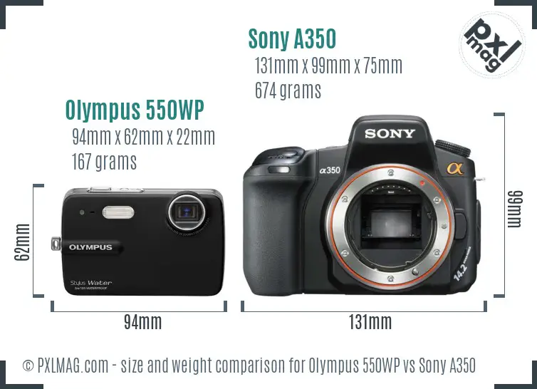 Olympus 550WP vs Sony A350 size comparison