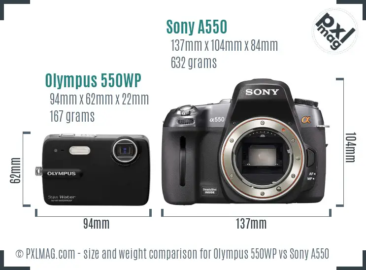 Olympus 550WP vs Sony A550 size comparison