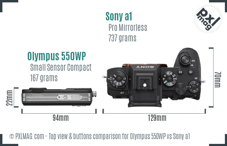 Olympus 550WP vs Sony a1 top view buttons comparison