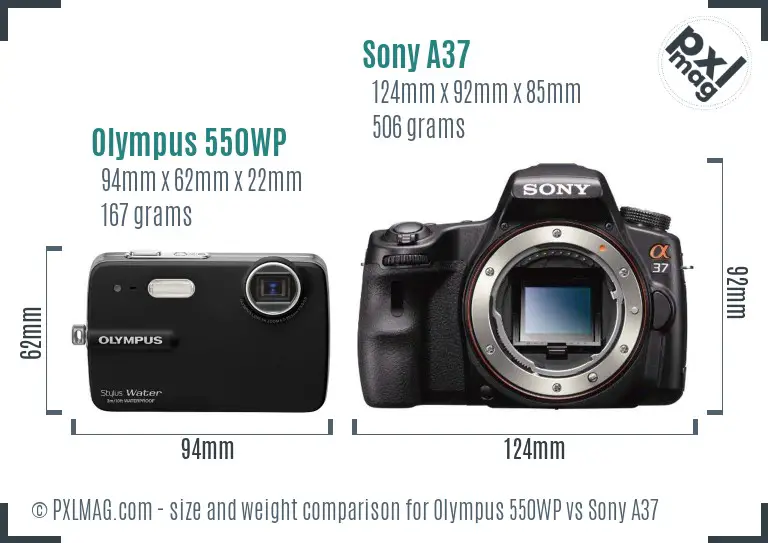 Olympus 550WP vs Sony A37 size comparison