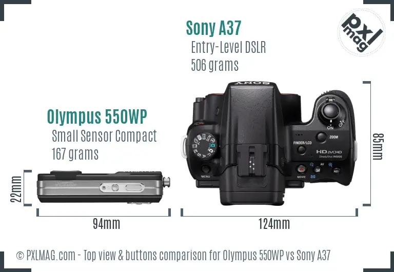 Olympus 550WP vs Sony A37 top view buttons comparison