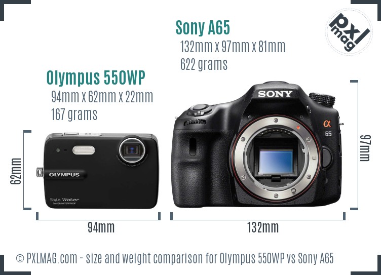 Olympus 550WP vs Sony A65 size comparison