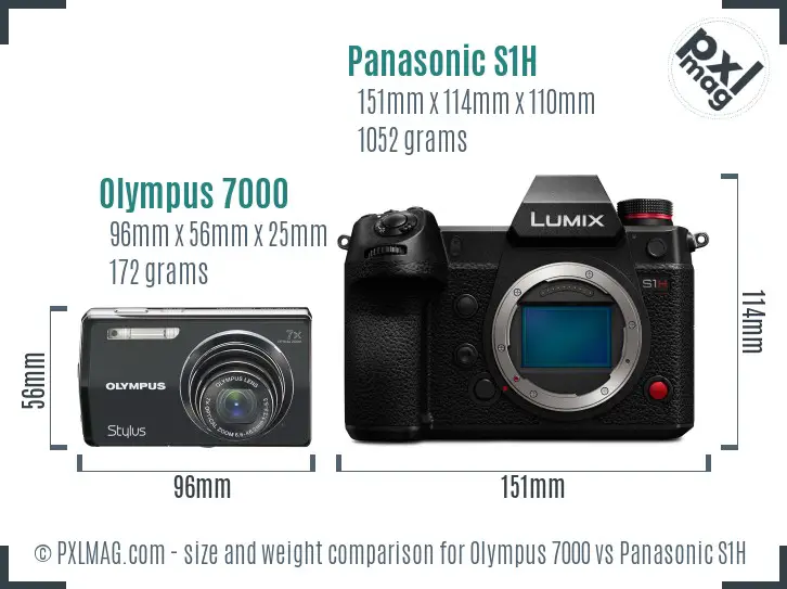 Olympus 7000 vs Panasonic S1H size comparison