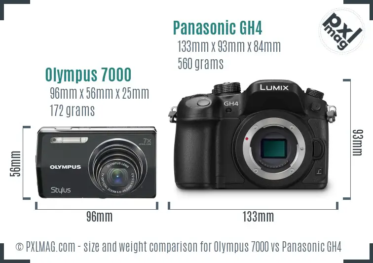 Olympus 7000 vs Panasonic GH4 size comparison