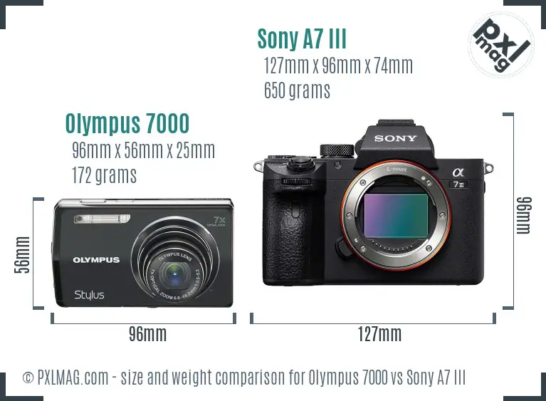 Olympus 7000 vs Sony A7 III size comparison