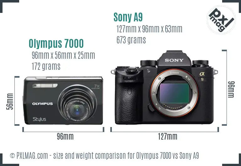 Olympus 7000 vs Sony A9 size comparison