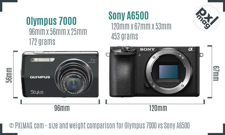 Olympus 7000 vs Sony A6500 size comparison