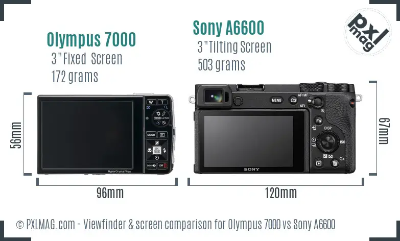Olympus 7000 vs Sony A6600 Screen and Viewfinder comparison