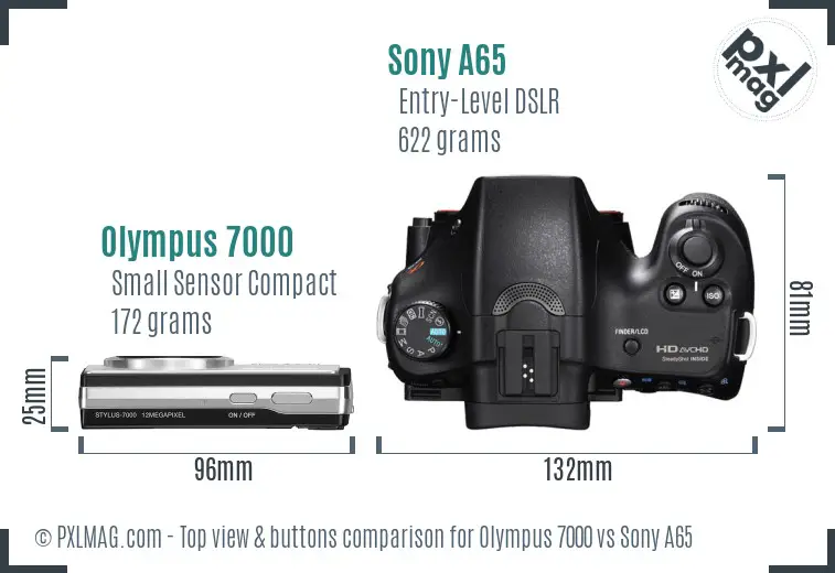 Olympus 7000 vs Sony A65 top view buttons comparison