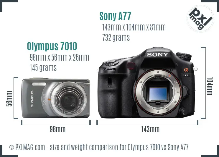 Olympus 7010 vs Sony A77 size comparison