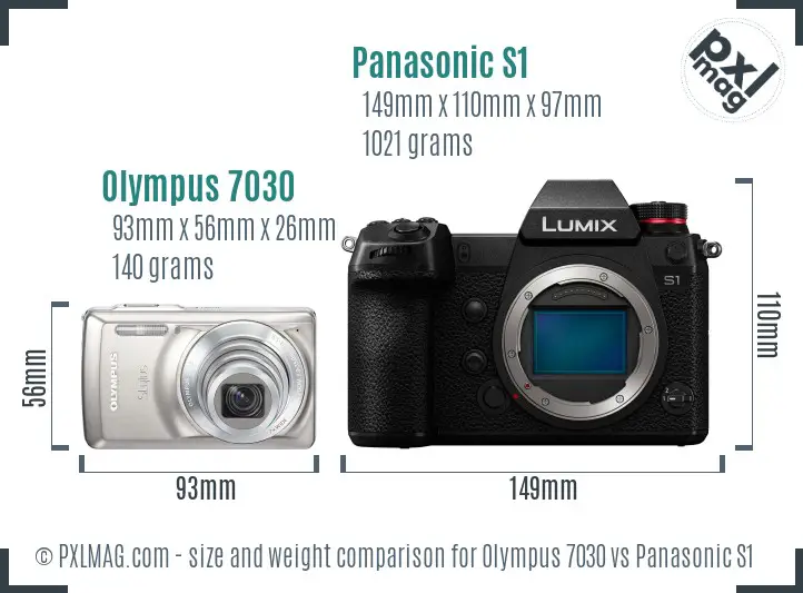 Olympus 7030 vs Panasonic S1 size comparison