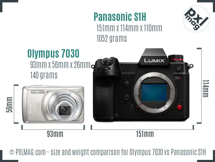 Olympus 7030 vs Panasonic S1H size comparison
