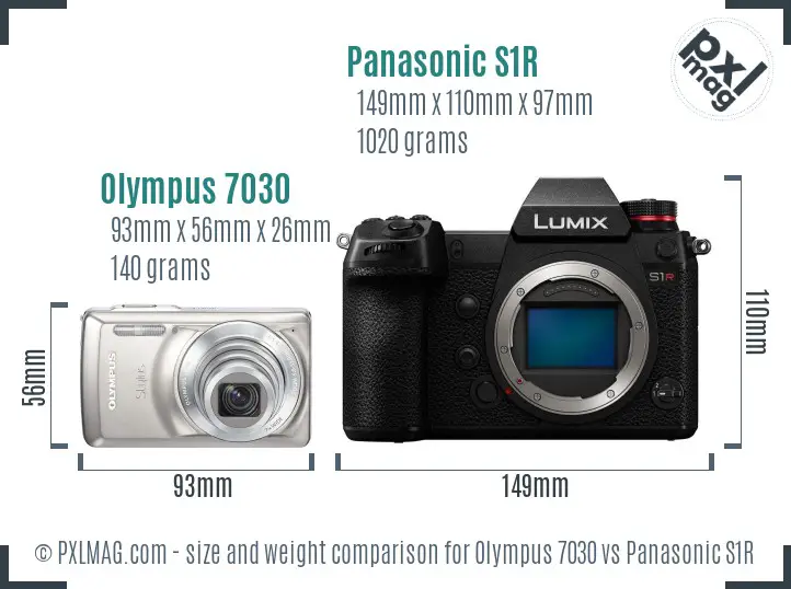 Olympus 7030 vs Panasonic S1R size comparison