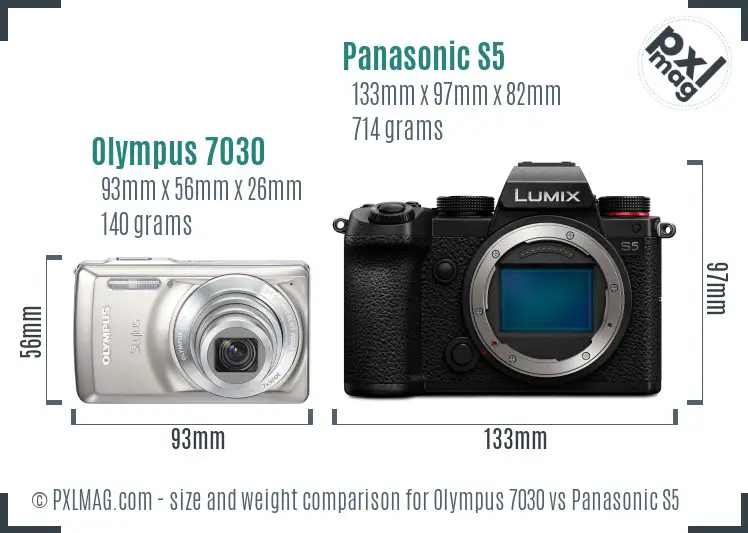 Olympus 7030 vs Panasonic S5 size comparison