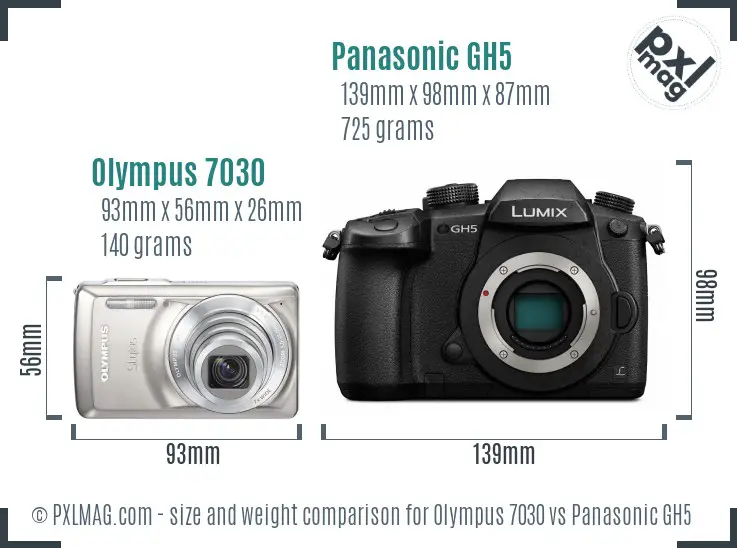 Olympus 7030 vs Panasonic GH5 size comparison