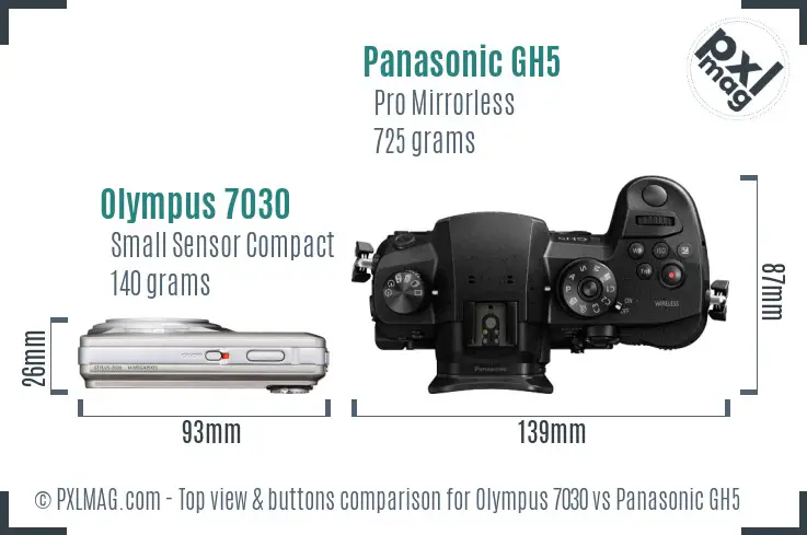 Olympus 7030 vs Panasonic GH5 top view buttons comparison