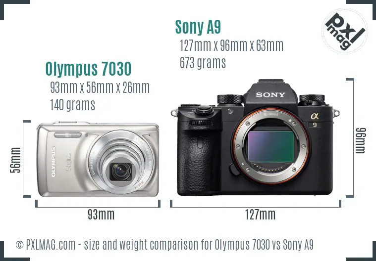 Olympus 7030 vs Sony A9 size comparison