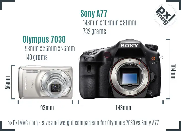Olympus 7030 vs Sony A77 size comparison