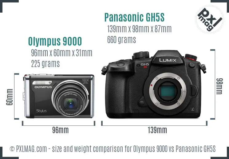 Olympus 9000 vs Panasonic GH5S size comparison