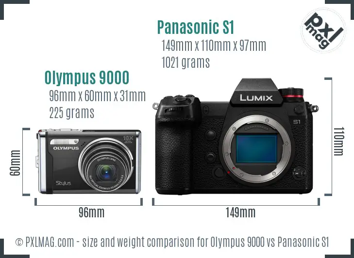 Olympus 9000 vs Panasonic S1 size comparison