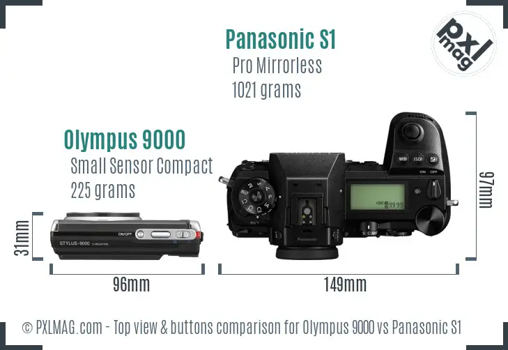 Olympus 9000 vs Panasonic S1 top view buttons comparison