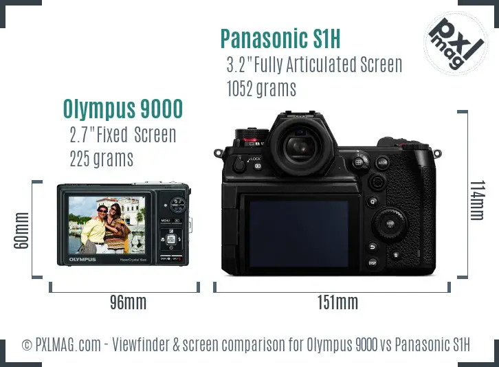 Olympus 9000 vs Panasonic S1H Screen and Viewfinder comparison