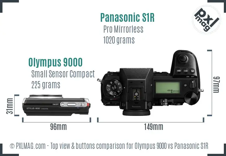 Olympus 9000 vs Panasonic S1R top view buttons comparison