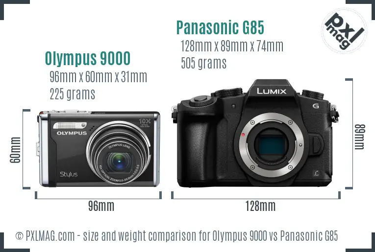 Olympus 9000 vs Panasonic G85 size comparison