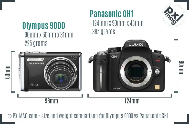 Olympus 9000 vs Panasonic GH1 size comparison