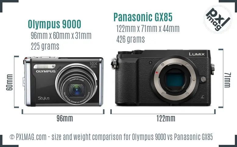 Olympus 9000 vs Panasonic GX85 size comparison