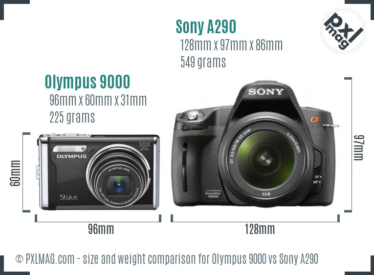 Olympus 9000 vs Sony A290 size comparison