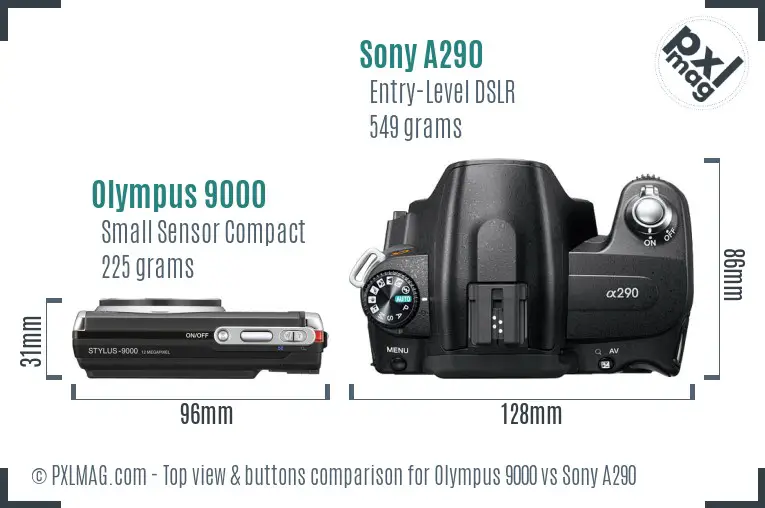 Olympus 9000 vs Sony A290 top view buttons comparison