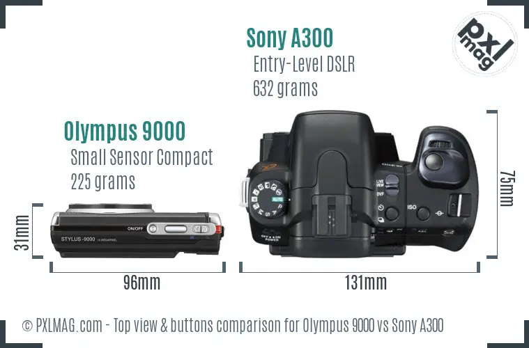Olympus 9000 vs Sony A300 top view buttons comparison