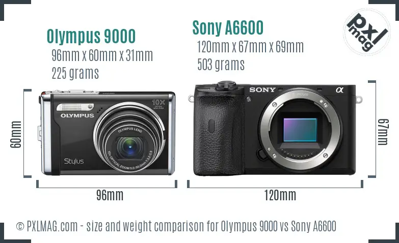 Olympus 9000 vs Sony A6600 size comparison