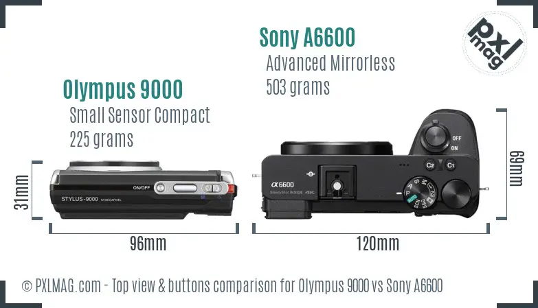 Olympus 9000 vs Sony A6600 top view buttons comparison