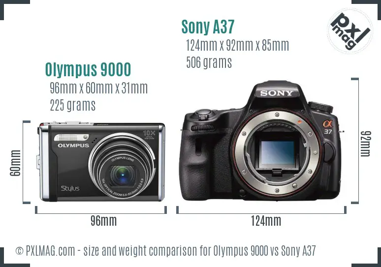 Olympus 9000 vs Sony A37 size comparison