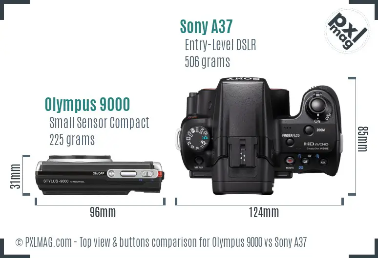 Olympus 9000 vs Sony A37 top view buttons comparison